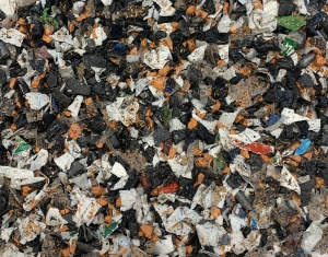 Scopri di più sull'articolo PP MACINATO FLOREALE